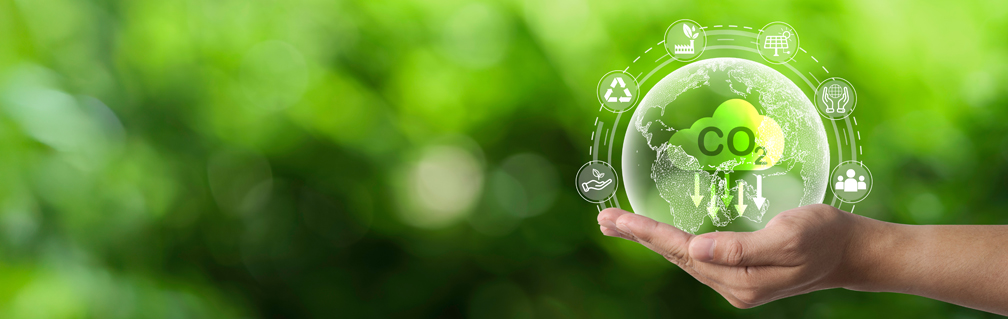 Publicação da Lei n.º 15.042/2024 e o Novo Mercado de Créditos de Carbono no Brasil